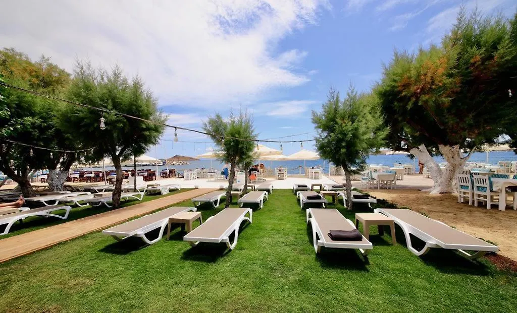 Ali'S Hotel Beach Bodrum Tyrkiet